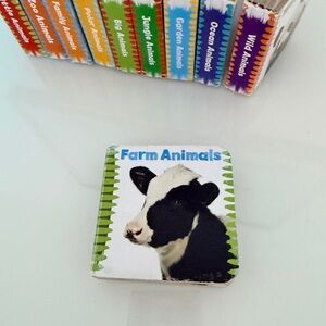 Baby Kids Farm Animals Book Set Rainbow Colors Books Montessori Toy Toys